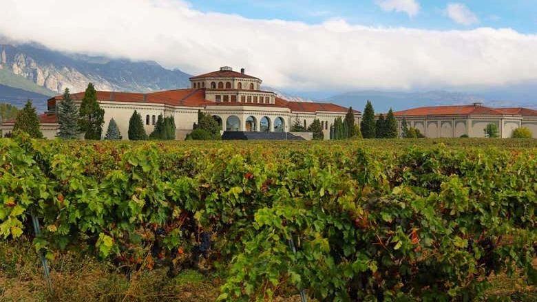 Bodegas Campillo Tour in Rioja Alavesa: Vineyards, Cellars and Three Wines (2/7)