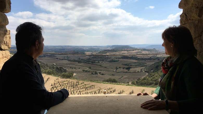 Bodegas Loli Casado Noon Winery Tour with Four Wines and Olive Oil (4/9)