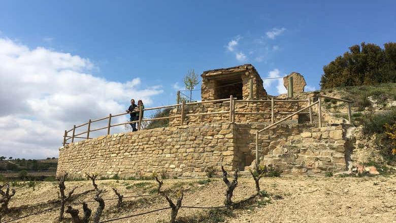 Bodegas Loli Casado Noon Winery Tour with Four Wines and Olive Oil (3/9)
