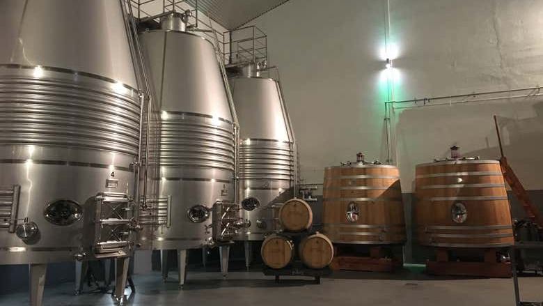 Bodegas Loli Casado Noon Winery Tour with Four Wines and Olive Oil (1/9)