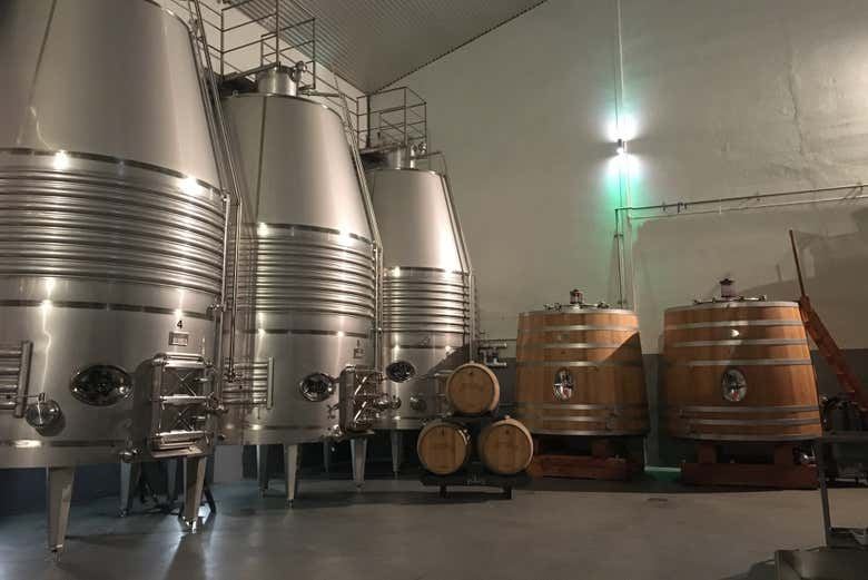 Bodegas Loli Casado Noon Winery Tour with Four Wines and Olive Oil (1/9)