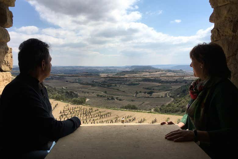 Bodegas Loli Casado Noon Winery Tour with Four Wines and Olive Oil (4/9)
