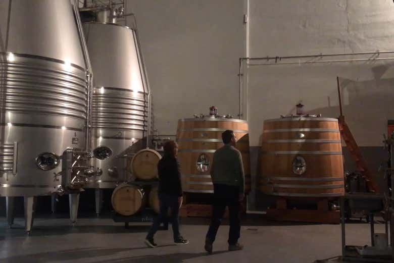 Bodegas Loli Casado Noon Winery Tour with Four Wines and Olive Oil (6/9)