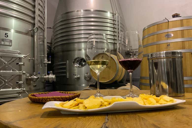 Bodegas Loli Casado Noon Winery Tour with Four Wines and Olive Oil (8/9)