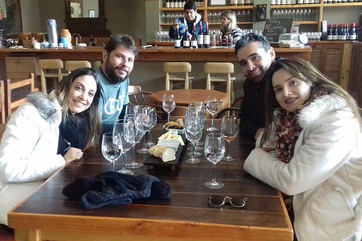 Casablanca Valley Full-Day Wine Tour with Three Vineyards and Casas del Bosque Lunch (5/12)
