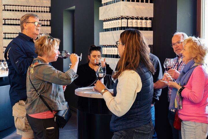 Full-Day Médoc and Saint-Émilion Wine Tour from Bordeaux: 3 Châteaux and Picnic Lunch (8/12)