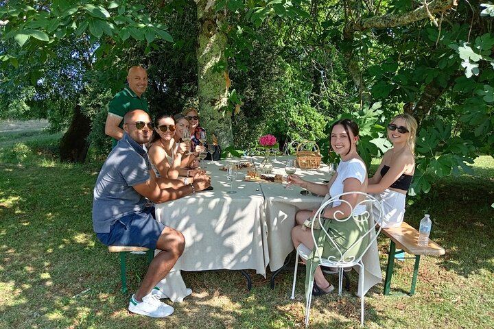Full-Day Médoc and Saint-Émilion Wine Tour from Bordeaux: 3 Châteaux and Picnic Lunch (6/12)