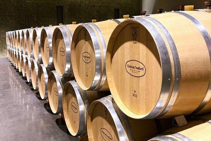 Full-Day Médoc and Saint-Émilion Wine Tour from Bordeaux: 3 Châteaux and Picnic Lunch (10/12)