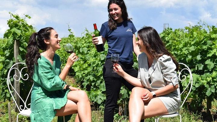 Full-Day Médoc and Saint-Émilion Wine Tour from Bordeaux: 3 Châteaux and Picnic Lunch (3/12)