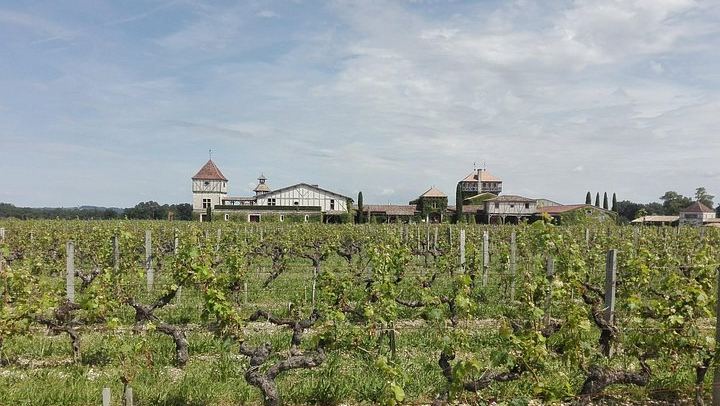 Private Bordeaux Wine Day Trip from San Sebastian: Saint-Émilion, Masterclass and Lunch (2/12)