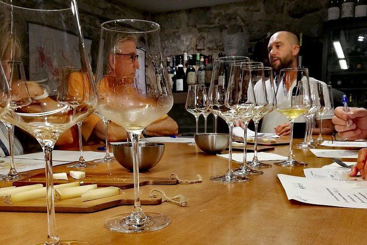 Private Bordeaux Wine Day Trip from San Sebastian: Saint-Émilion, Masterclass and Lunch (1/12)