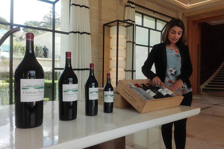 Private Bordeaux Wine Day Trip from San Sebastian: Saint-Émilion, Masterclass and Lunch (8/12)