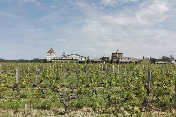 Private Bordeaux Wine Day Trip from San Sebastian: Saint-Émilion, Masterclass and Lunch (2/12)