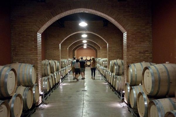 Luján de Cuyo Wine Day with Clos de Chacras, Carmine Granata and Paired Lunch