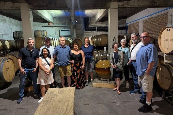Uco Valley Wine Tour: Two Family and Boutique Wineries with Lunch
