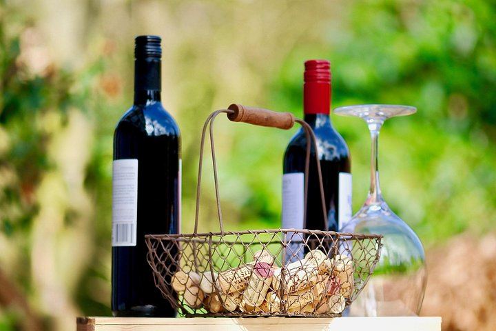 Small-Group Venice Day Trip: Soave, Villa Serego Alighieri Amarone Tasting, Verona Time (5/12)