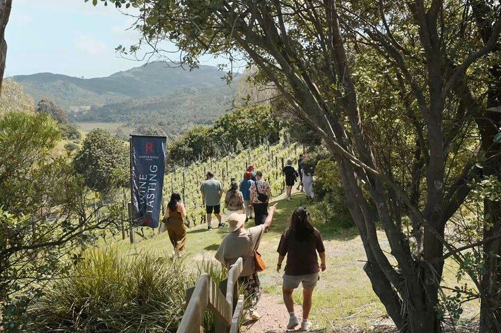 Boutique Waiheke Wine, Gin and Food Tour with Hosts Joe and Jen, 11 Guests Max (8/12)