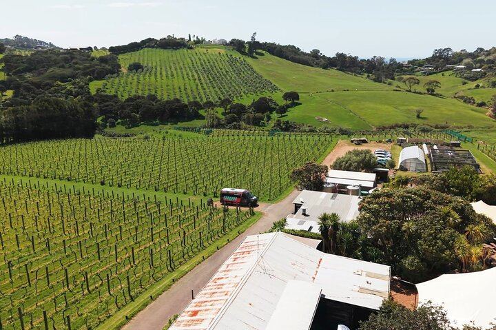 Boutique Waiheke Wine, Gin and Food Tour with Hosts Joe and Jen, 11 Guests Max (7/12)
