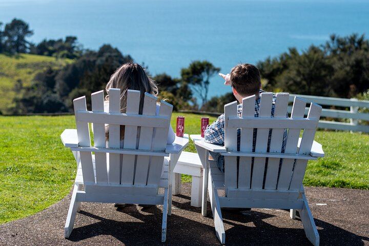 Boutique Waiheke Wine, Gin and Food Tour with Hosts Joe and Jen, 11 Guests Max (3/12)