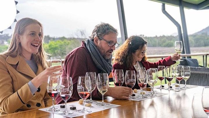 Small-Group Hunter Valley Wine and Cheese Day Tour from Sydney, Pokolbin Boutique Wineries (2/12)