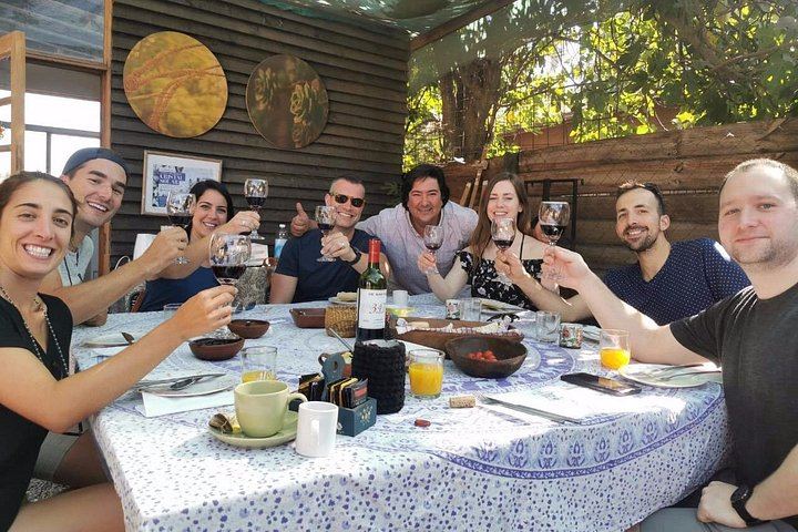 Little Wine Bus Day Trip to Isla de Maipo: Brunch, Wineries and River Lunch (2/12)