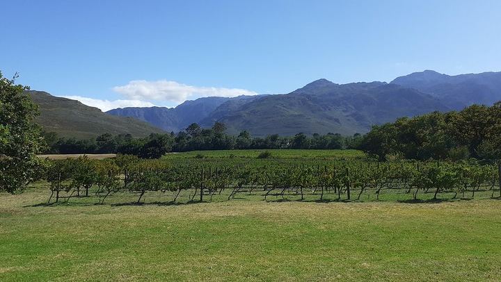 Sip and Savor Half-Day Wine Escape: Fairview Cheese and Marianne Biltong (2/12)