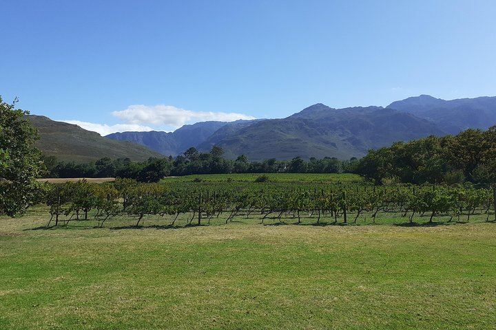 Sip and Savor Half-Day Wine Escape: Fairview Cheese and Marianne Biltong (2/12)