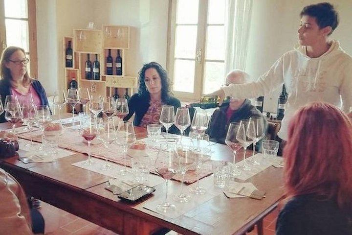 Full-Day Small-Group Tour of Two Boutique Wineries near Montepulciano, with 3-Course Lunch (11/12)
