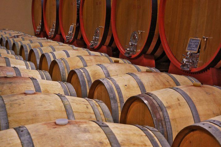 Private Pienza and Montalcino Day Tour: Organic Pecorino Dairy and Brunello Cellar (1/8)