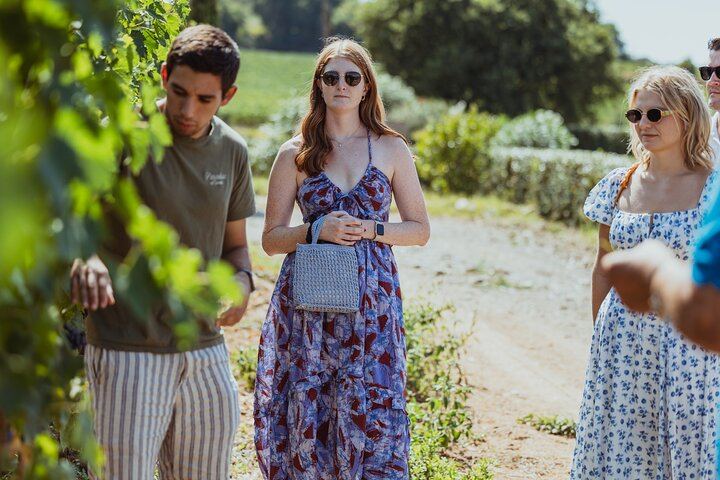 Montalcino Brunello Day Trip: Two Boutique Cellars and Pairing Lunch, Max 8 Guests (3/12)
