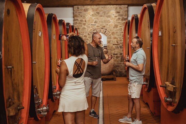 Montalcino Brunello Day Trip: Two Boutique Cellars and Pairing Lunch, Max 8 Guests (4/12)