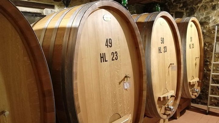 Brunello di Montalcino Day Tour from Siena: Three Wineries, Lunch, Sant'Antimo Abbey (4/6)