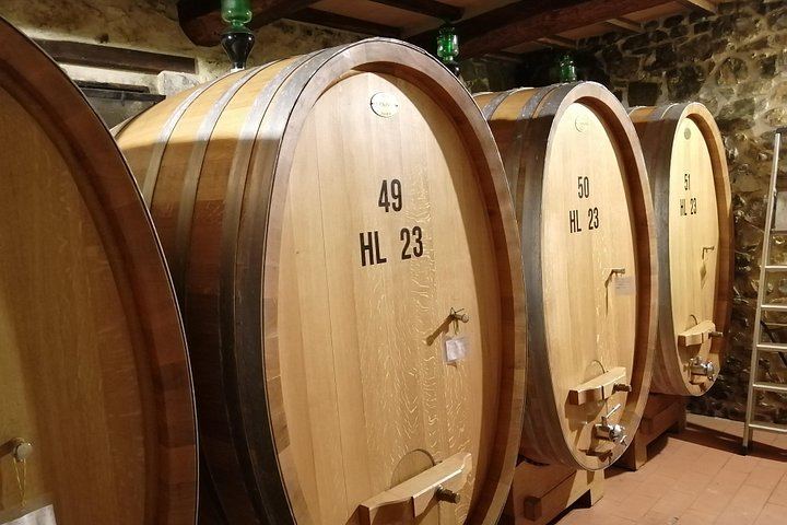 Brunello di Montalcino Day Tour from Siena: Three Wineries, Lunch, Sant'Antimo Abbey (4/6)