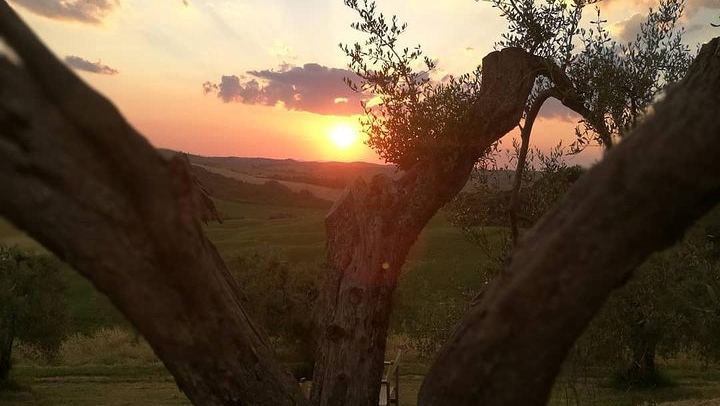 Private Brunello Wine Tour in Val d'Orcia from Pienza with a Local Driver Guide (2/7)