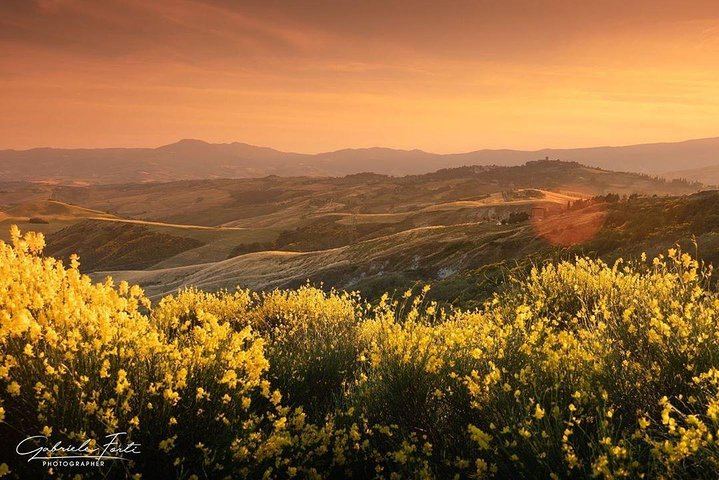 Private Brunello Wine Tour in Val d'Orcia from Pienza with a Local Driver Guide (7/7)