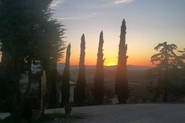 Private Brunello Wine Tour in Val d'Orcia from Pienza with a Local Driver Guide