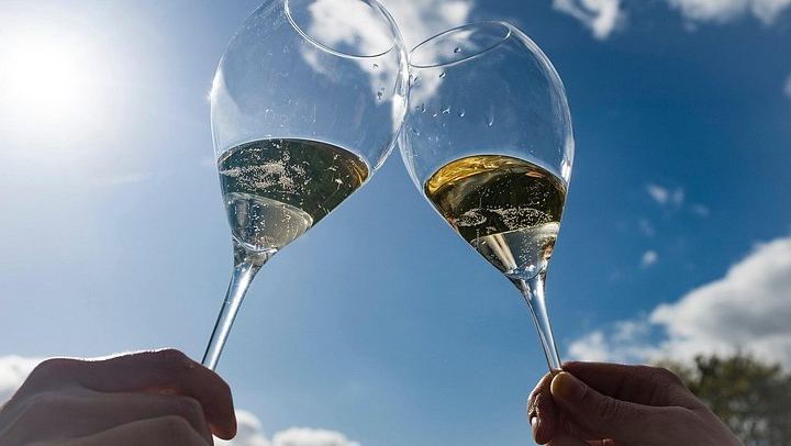 Small Group Half-Day Champagne Tour from Épernay: Hautvillers, Côte des Blancs, Ratafia (1/12)