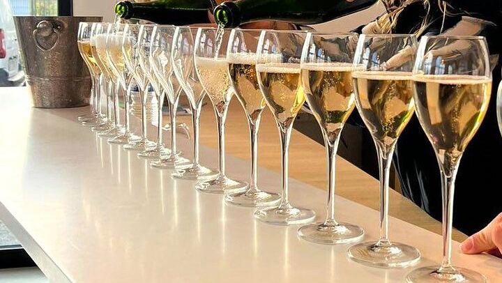Premier Cru Champagne Vineyard Visit and Triple Tasting in Coulommes-la-Montagne (1/10)