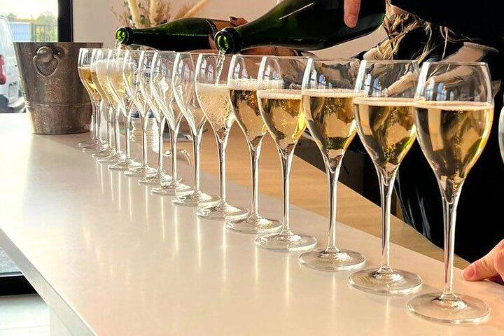 Premier Cru Champagne Vineyard Visit and Triple Tasting in Coulommes-la-Montagne (1/10)