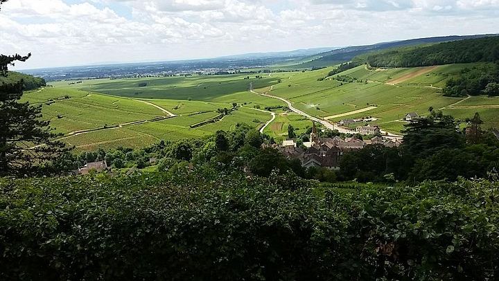 Full-Day Private Burgundy Wine Route Tour from Beaune with Clos de Vougeot (1/6)