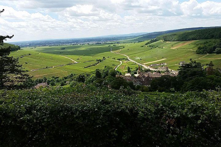 Full-Day Private Burgundy Wine Route Tour from Beaune with Clos de Vougeot (1/6)