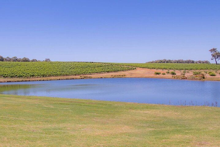 Private Margaret River Winery and Brewery Day Tour with Your Own Driver, 3 to 8 People (7/12)