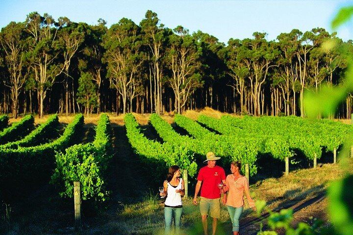 Private Margaret River Winery and Brewery Day Tour with Your Own Driver, 3 to 8 People (11/12)