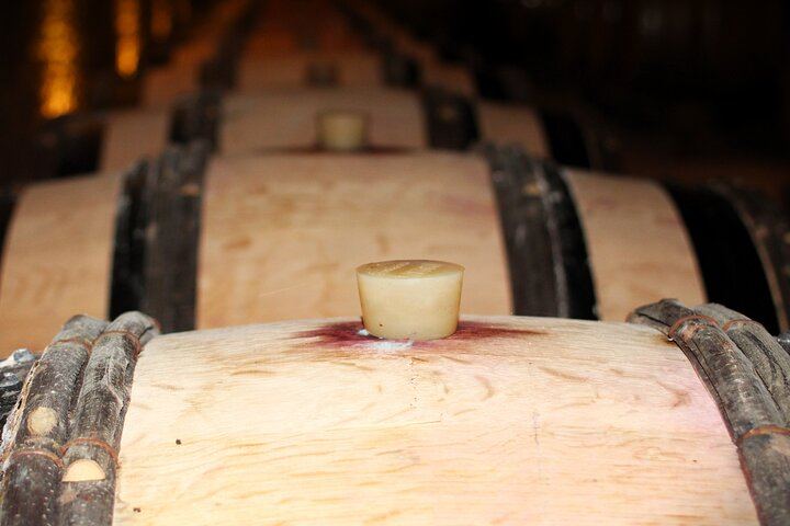 Private Côte d'Or Wine Tasting Tour Between Dijon and Beaune with Pickup (7/12)
