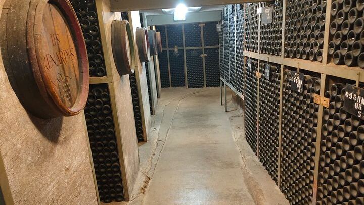 Burgundy Grand Crus Route Tour from Beaune: 14 Wine Tastings, Vougeot and Romanée-Conti (4/11)
