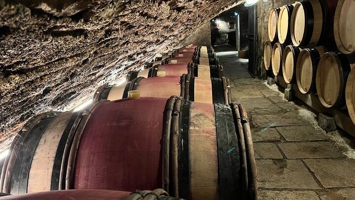 Burgundy Grand Crus Route Tour from Beaune: 14 Wine Tastings, Vougeot and Romanée-Conti (3/11)