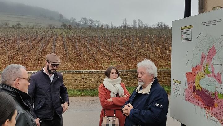 Burgundy Grand Crus Route Tour from Beaune: 14 Wine Tastings, Vougeot and Romanée-Conti (1/11)