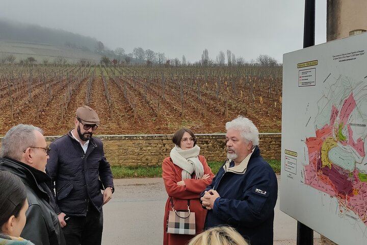 Burgundy Grand Crus Route Tour from Beaune: 14 Wine Tastings, Vougeot and Romanée-Conti (1/11)