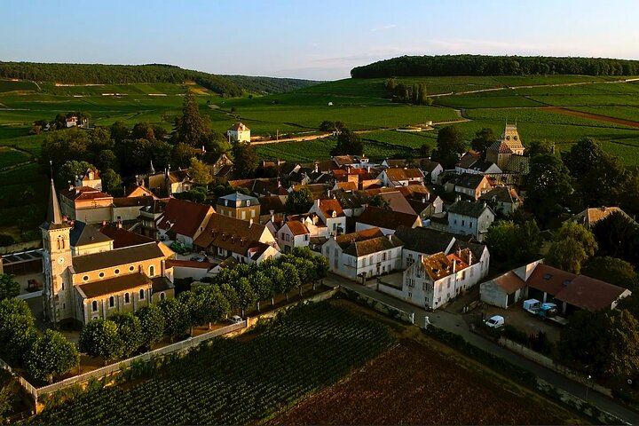 Burgundy Grand Crus Route Tour from Beaune: 14 Wine Tastings, Vougeot and Romanée-Conti (11/11)