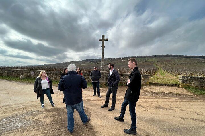 Burgundy Grand Crus Route Tour from Beaune: 14 Wine Tastings, Vougeot and Romanée-Conti (5/11)